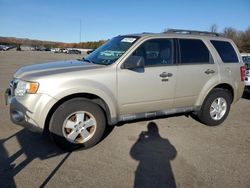 Ford Vehiculos salvage en venta: 2012 Ford Escape XLT