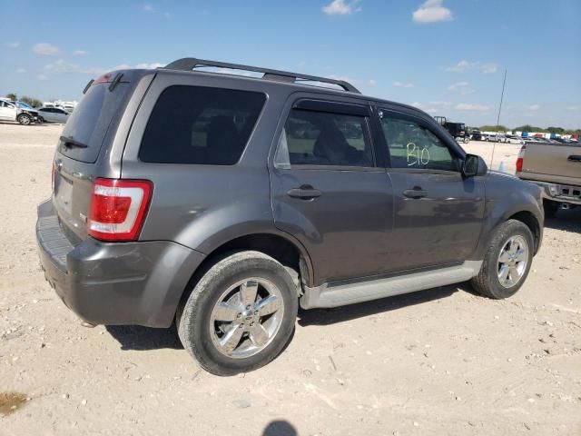 2010 Ford Escape XLT