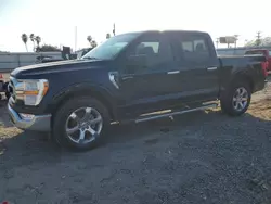 Salvage cars for sale at Mercedes, TX auction: 2022 Ford F150 Supercrew