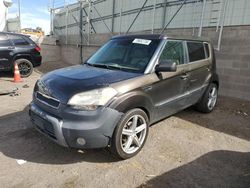 Salvage cars for sale at Albuquerque, NM auction: 2011 KIA Soul +