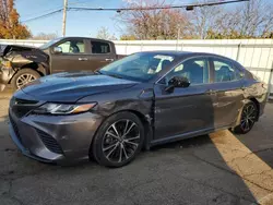 Salvage cars for sale at Moraine, OH auction: 2020 Toyota Camry SE