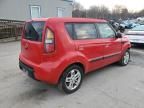 2010 KIA Soul +