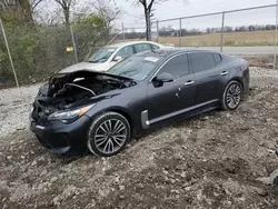 Salvage cars for sale at Cicero, IN auction: 2019 KIA Stinger Premium