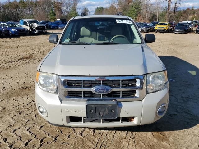 2008 Ford Escape XLT