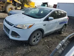 Ford Vehiculos salvage en venta: 2014 Ford Escape SE