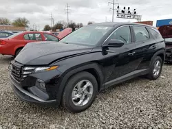 Salvage cars for sale at Columbus, OH auction: 2024 Hyundai Tucson SE