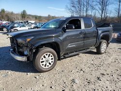 Salvage cars for sale at Candia, NH auction: 2024 Toyota Tacoma Double Cab