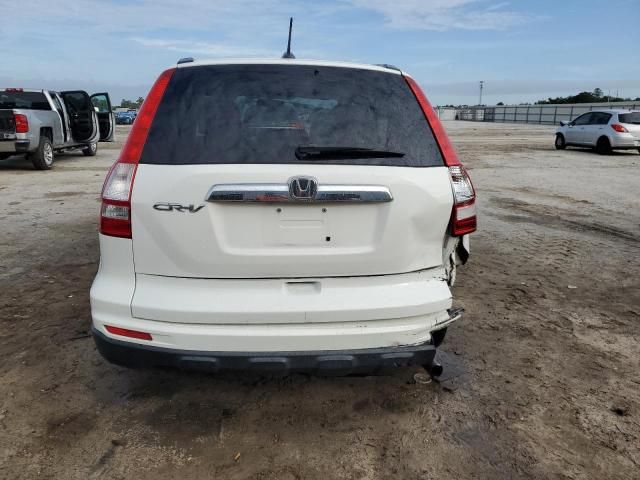 2010 Honda CR-V EXL