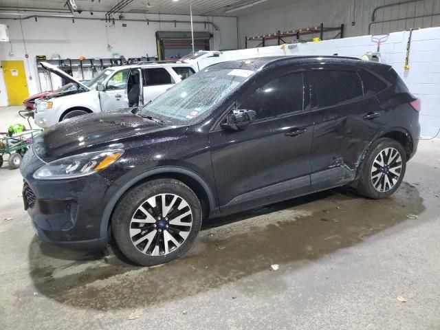 2020 Ford Escape SE Sport