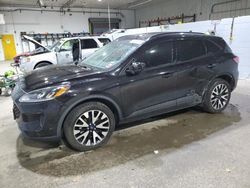 Salvage cars for sale at Candia, NH auction: 2020 Ford Escape SE Sport