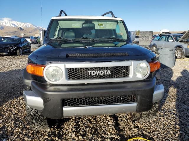 2007 Toyota FJ Cruiser