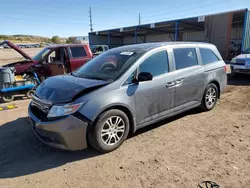 Salvage cars for sale at Colorado Springs, CO auction: 2012 Honda Odyssey EXL