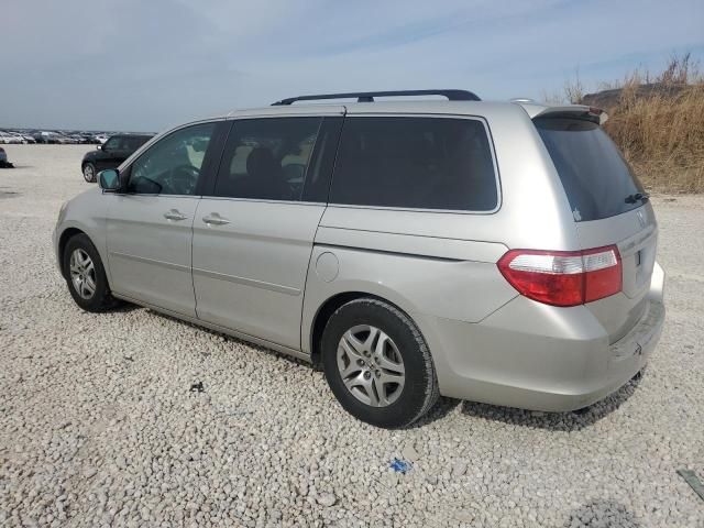 2005 Honda Odyssey EXL