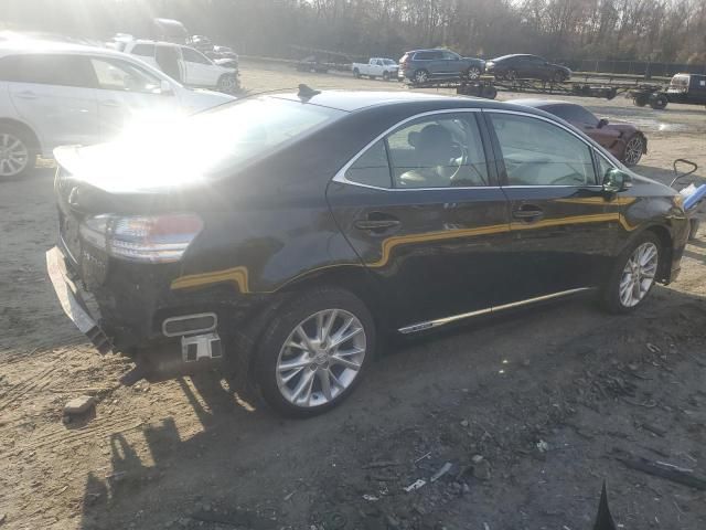 2010 Lexus HS 250H