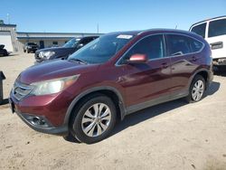 Salvage cars for sale at Gaston, SC auction: 2014 Honda CR-V EXL