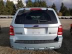 2008 Ford Escape HEV