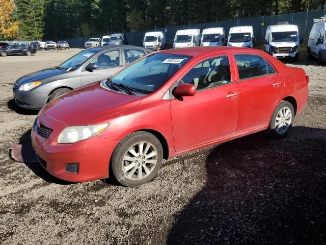 2010 Toyota Corolla Base