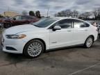 2015 Ford Fusion S Hybrid