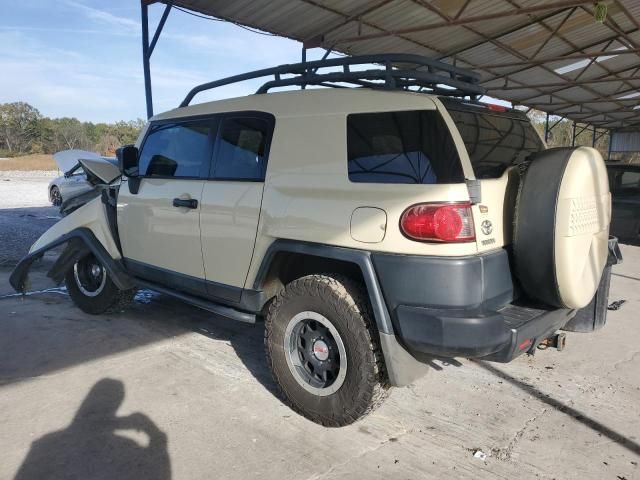 2010 Toyota FJ Cruiser