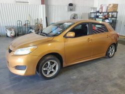 Salvage cars for sale at Lufkin, TX auction: 2009 Toyota Corolla Matrix