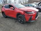 2024 Lexus NX 450H Luxury