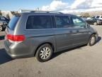 2008 Honda Odyssey EXL