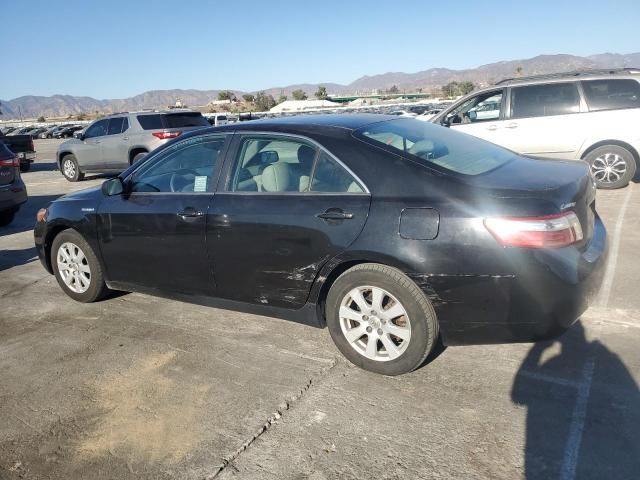 2007 Toyota Camry Hybrid