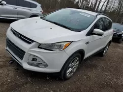 2013 Ford Escape SEL en venta en Cookstown, ON