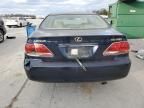 2006 Lexus ES 330