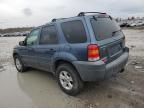 2005 Ford Escape XLT