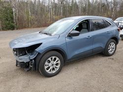 Salvage cars for sale at Cookstown, ON auction: 2023 Ford Escape Active