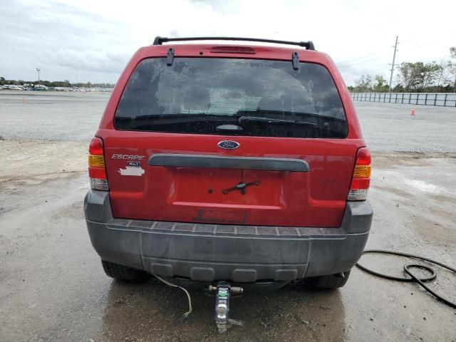 2005 Ford Escape XLT