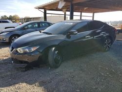 Nissan salvage cars for sale: 2016 Nissan Maxima 3.5S