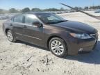 2014 Lexus ES 300H