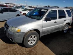 2005 Ford Escape XLT en venta en Brighton, CO