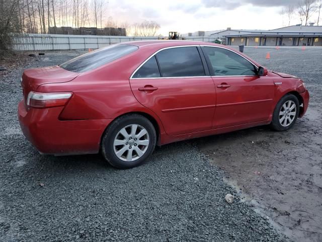 2009 Toyota Camry Hybrid