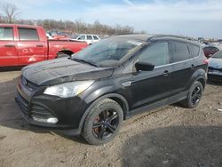 Vehiculos salvage en venta de Copart Des Moines, IA: 2016 Ford Escape SE