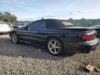 1999 Pontiac Firebird Trans AM