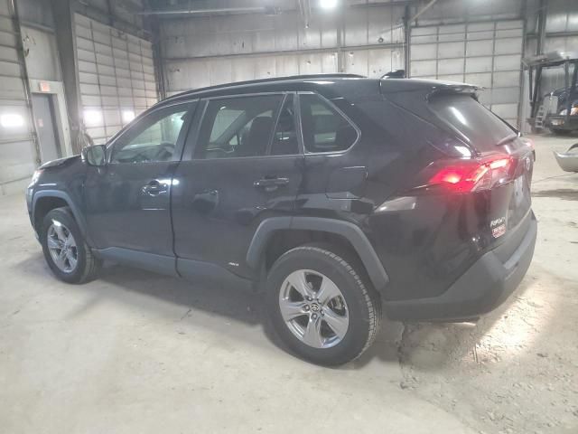 2023 Toyota Rav4 LE