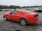 2013 Ford Mustang