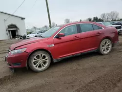 Ford Vehiculos salvage en venta: 2013 Ford Taurus SEL