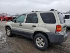 2005 Ford Escape XLT