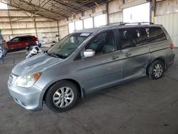 Salvage cars for sale at Phoenix, AZ auction: 2008 Honda Odyssey EXL