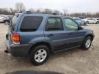 2005 Ford Escape XLT