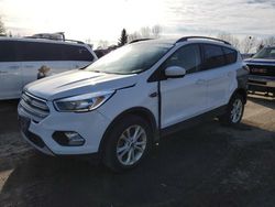 Vehiculos salvage en venta de Copart Bowmanville, ON: 2018 Ford Escape SE