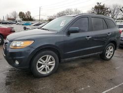 Hyundai salvage cars for sale: 2010 Hyundai Santa FE Limited