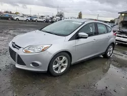 Salvage cars for sale at Eugene, OR auction: 2014 Ford Focus SE