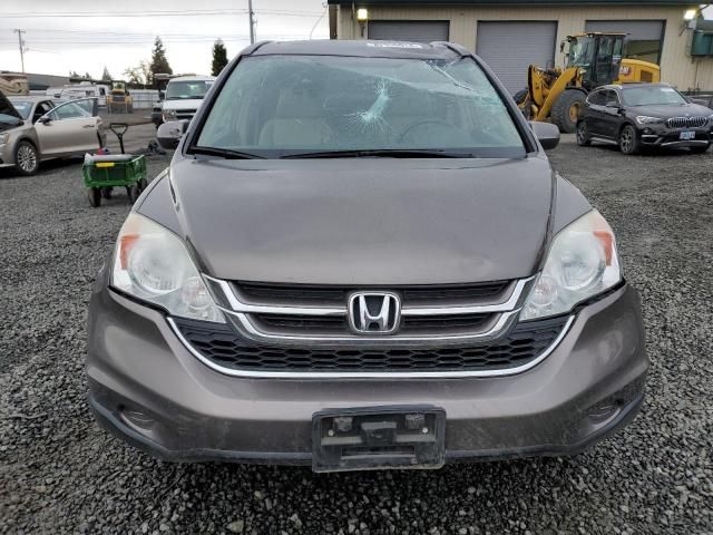 2010 Honda CR-V EXL