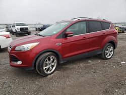 Salvage Cars with No Bids Yet For Sale at auction: 2013 Ford Escape Titanium