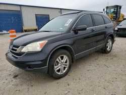 Honda Vehiculos salvage en venta: 2010 Honda CR-V EX